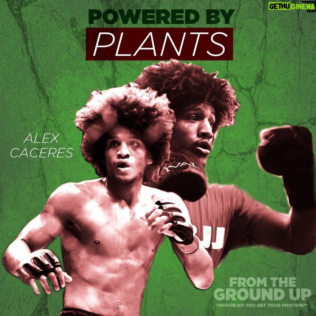Alex Caceres Instagram - When I’m not in my garden I’m in the ring. Catch my fight this Saturday. #UFC250 on @espn