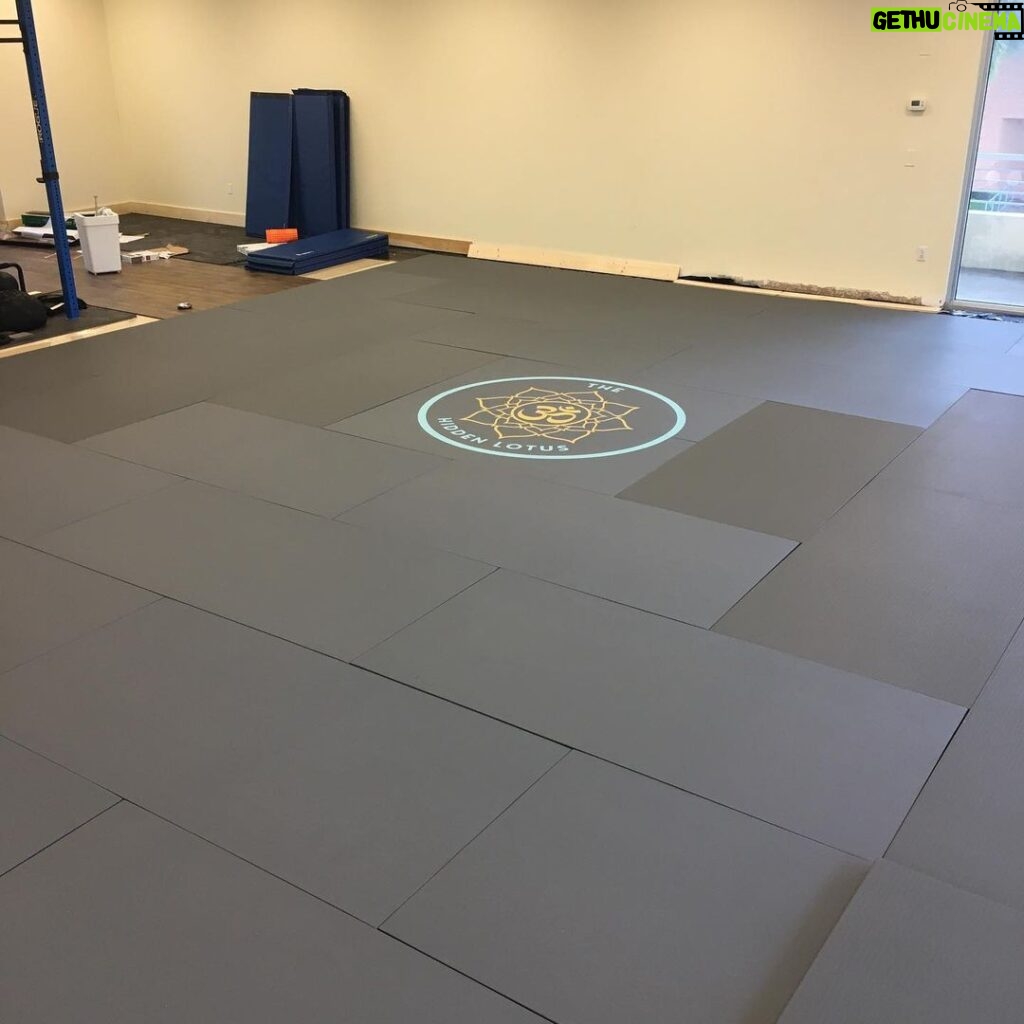 Alex Caceres Instagram - Mats are in thank you @dollamur for the spectacular job super satisfied, hope all the members feel the same way #almostthere #dollamur #mma #zen #om #yogilife #yoga #martialarts #wellness #vitality #revolution #fullcircle Kendall, Florida
