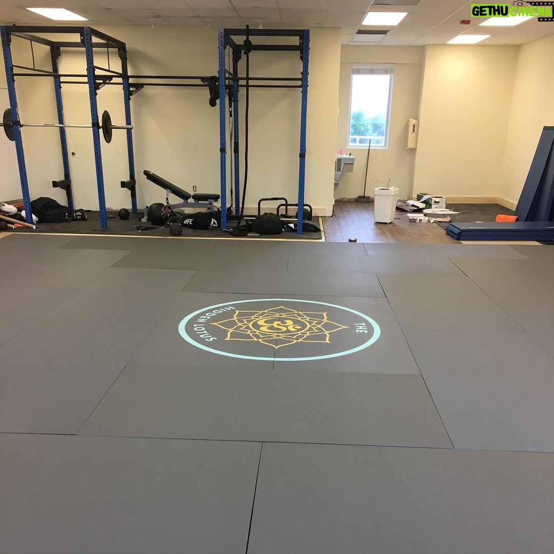 Alex Caceres Instagram - Mats are in thank you @dollamur for the spectacular job super satisfied, hope all the members feel the same way #almostthere #dollamur #mma #zen #om #yogilife #yoga #martialarts #wellness #vitality #revolution #fullcircle Kendall, Florida