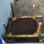 Alex Caceres Instagram - Progression of the first bamboo planters box #growyourown #vegan #plantbasedworld #gardening #realfood #letthyfoodbethymedicine