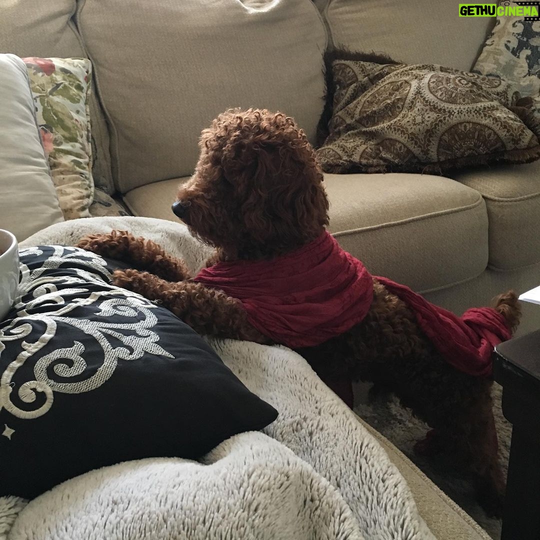Alex Caceres Instagram - @yah_sweetheart rusty got new threads #pimpinsincepimpin