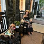 Alex Caceres Instagram - Family staycation and fur baby adventures 🐶💕