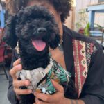 Alex Caceres Instagram - Family staycation and fur baby adventures 🐶💕