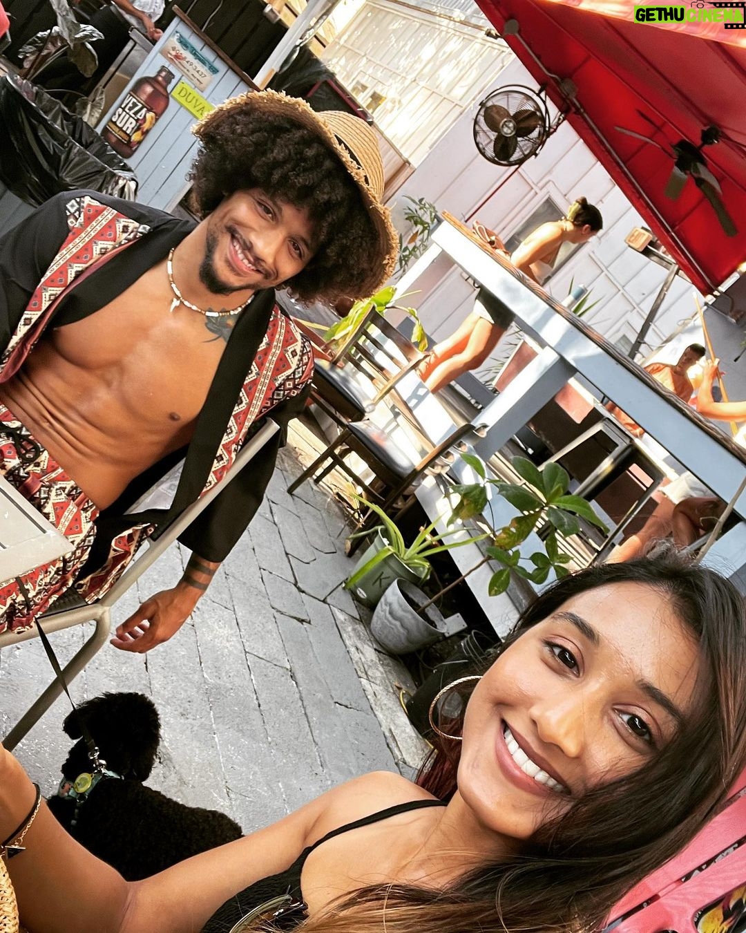 Alex Caceres Instagram - Puppy vacations😁 Old Town Manor Key West