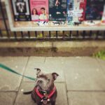 Alexa Davies Instagram - “I feel fucking knackered” - @marthawatsonallpress 1. Sad Charly 📸 - @mihaelabodlovic 2. Happy Charly (such range) 📸 - @mihaelabodlovic 3. The slice of sunshine that is @helencmonks was literally working in the same venue. That’s gorgeous luck. 4. Dennis is a big supporter of his mother and, thankfully, of the arts. 5. Got to work with Tim Crouch and subsequently spent the rest of the fringe talking about how much I love Tim Crouch. 📸 - @thistimcrouch 6. I fucking love oysters. 7. I really fucking love Jim. Who took on all the work of looking after the house and the dog whilst also working AND looking after me. Until next time ♥️ I am fine.