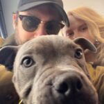 Alexa Davies Instagram - 8 years today with my Jim. Not as long with my sweet baby Dennis, but we’ll get there 🥰 very grateful for both being so beautiful and kind ♥️