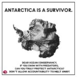Alexa Nikolas Instagram - 🌍 Join us in taking a stand for Antarctica's fragile ecosystem and survivors' rights. We believe luxury shouldn't come at the expense of ethics @insiderexpeditions , it's time to reconsider your collaboration with reported predators and your impact on our planet @oceanconservancy 🙅‍♀️🌊✊ #BoycottInsiderExpeditions #saveantarctica #ethicaltravel