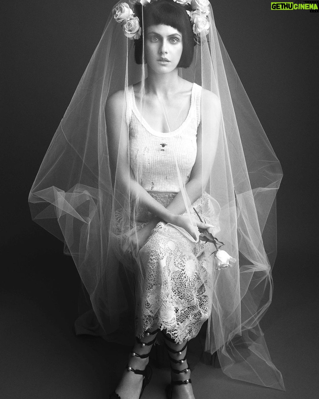 Alexandra Daddario Instagram - Thank you @FlauntMagazine for letting me hold this snake πΈ AdamFranzino π @Katie_Mossman wearing @Dior ποΈ @Audra_McClain π @TheMartyHarper π @lotstar π
@Merricures #FlauntMagazine #UnderTheSilverMoon