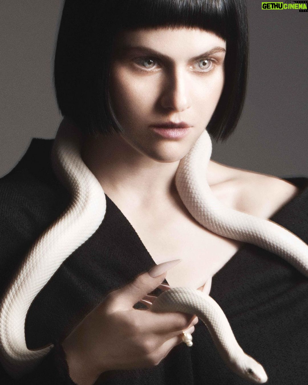 Alexandra Daddario Instagram - Thank you @FlauntMagazine for letting me hold this snake πΈ AdamFranzino π @Katie_Mossman wearing @Dior ποΈ @Audra_McClain π @TheMartyHarper π @lotstar π
@Merricures #FlauntMagazine #UnderTheSilverMoon