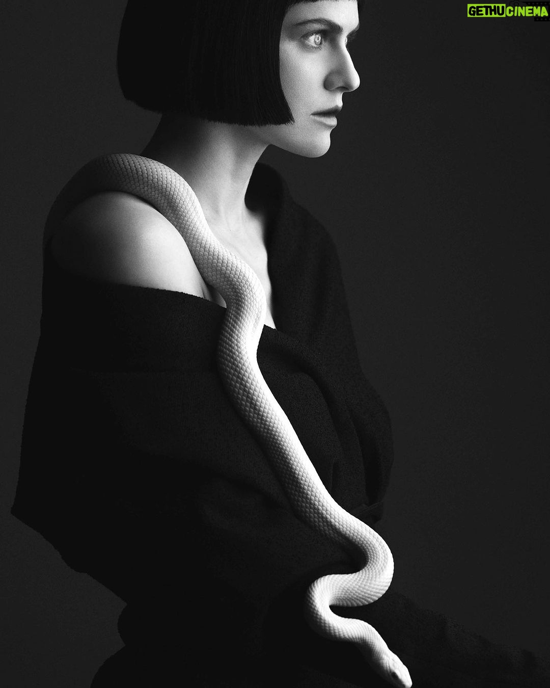 Alexandra Daddario Instagram - Thank you @FlauntMagazine for letting me hold this snake πΈ AdamFranzino π @Katie_Mossman wearing @Dior ποΈ @Audra_McClain π @TheMartyHarper π @lotstar π
@Merricures #FlauntMagazine #UnderTheSilverMoon