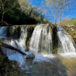 Alexandre da Silva Instagram – Made by nature Portugal