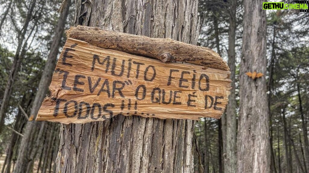Alexandre da Silva Instagram - Não faças aos outros o que não queres que te façam a ti, e serve para tudo na nossa vida. Portugal