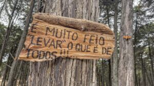 Alexandre da Silva Instagram - Não faças aos outros o que não queres que te façam a ti, e serve para tudo na nossa vida.
