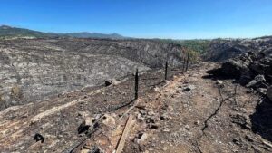 Alexandre da Silva Instagram - E em minutos destrói-se um património de anos, físico e ambiental. Força e resiliência.
