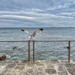 Alexandre da Silva Instagram - Kiss my…. Cascais