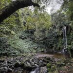 Alexandre da Silva Instagram – Algures no meio do Atlântico @visitazores @fsc_portugal São Miguel Island