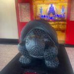 Alexia Ioannides Instagram - swipe for poem Taiwan