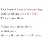 Alexis Floyd Instagram - there is a field