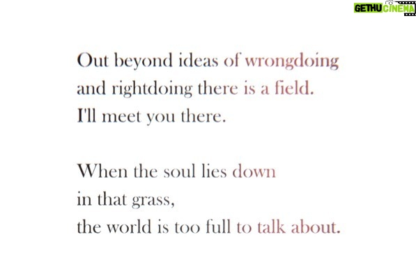 Alexis Floyd Instagram - there is a field