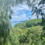Alexis Floyd Instagram - slow and so Kauai