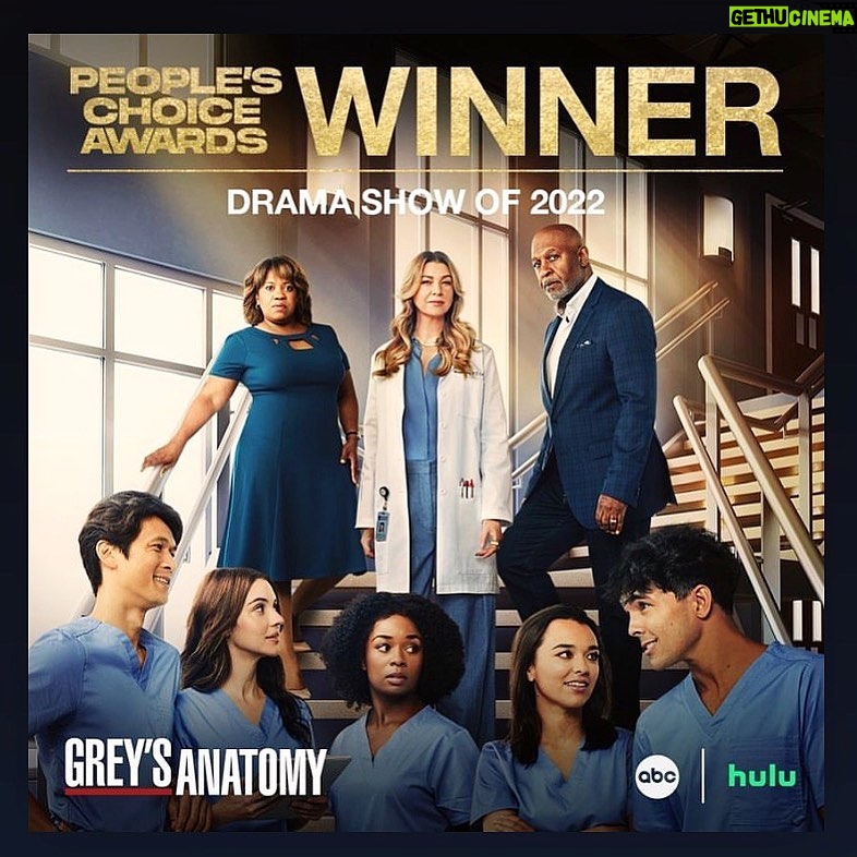 Alexis Floyd Instagram - Thank~You beautiful messy loving voting Pe0pLe @peopleschoice @greysabc 🥂