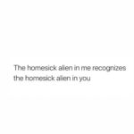 Alexis Ren Instagram – recently