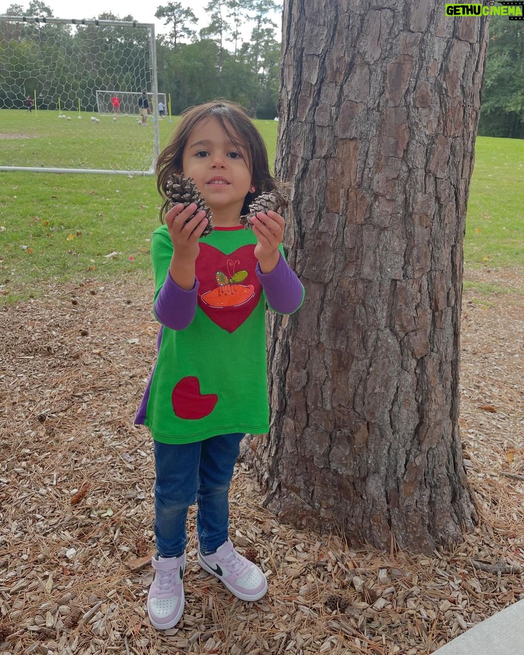 Alfonsina Molinari - 336 Likes - Les debía fotitos de la segunda parte de nuestras vacaciones en noviembre: acción de gracias con la familia Castro-Padovani en Houston. Aprovechamos para visitar zoológico, acuario, varios parques y celebrar cumpleaños. 😊