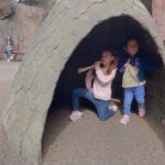 Alfonsina Molinari Instagram - Les debía fotitos de la segunda parte de nuestras vacaciones en noviembre: acción de gracias con la familia Castro-Padovani en Houston. Aprovechamos para visitar zoológico, acuario, varios parques y celebrar cumpleaños. 😊