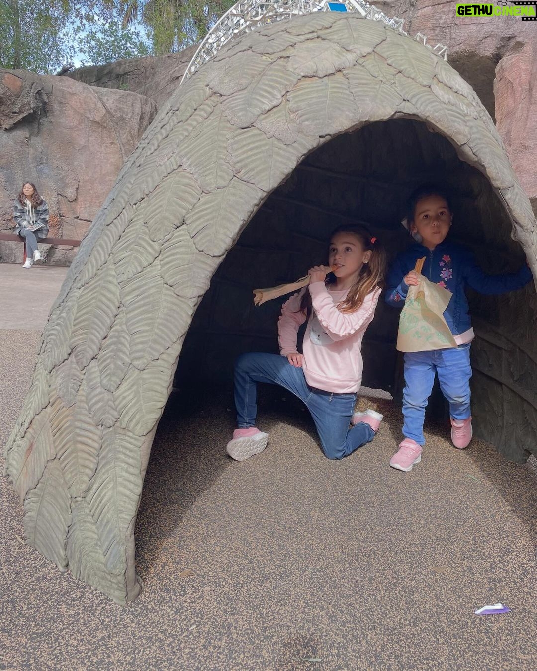 Alfonsina Molinari - 336 Likes - Les debía fotitos de la segunda parte de nuestras vacaciones en noviembre: acción de gracias con la familia Castro-Padovani en Houston. Aprovechamos para visitar zoológico, acuario, varios parques y celebrar cumpleaños. 😊