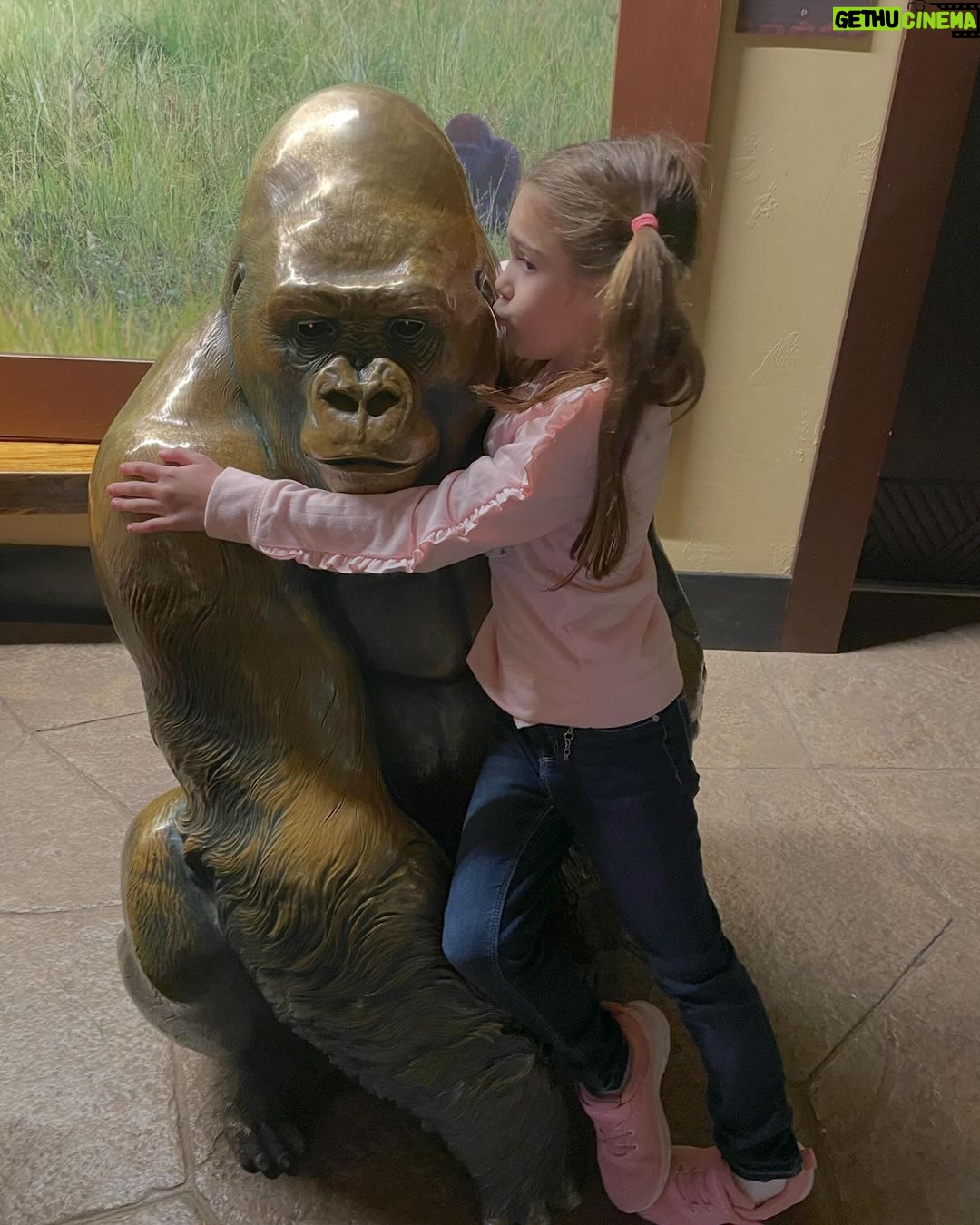Alfonsina Molinari - 336 Likes - Les debía fotitos de la segunda parte de nuestras vacaciones en noviembre: acción de gracias con la familia Castro-Padovani en Houston. Aprovechamos para visitar zoológico, acuario, varios parques y celebrar cumpleaños. 😊