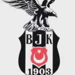 Ali Barkın Instagram - #şampiyonbeşiktaş Teşekkürler #beşiktaşım