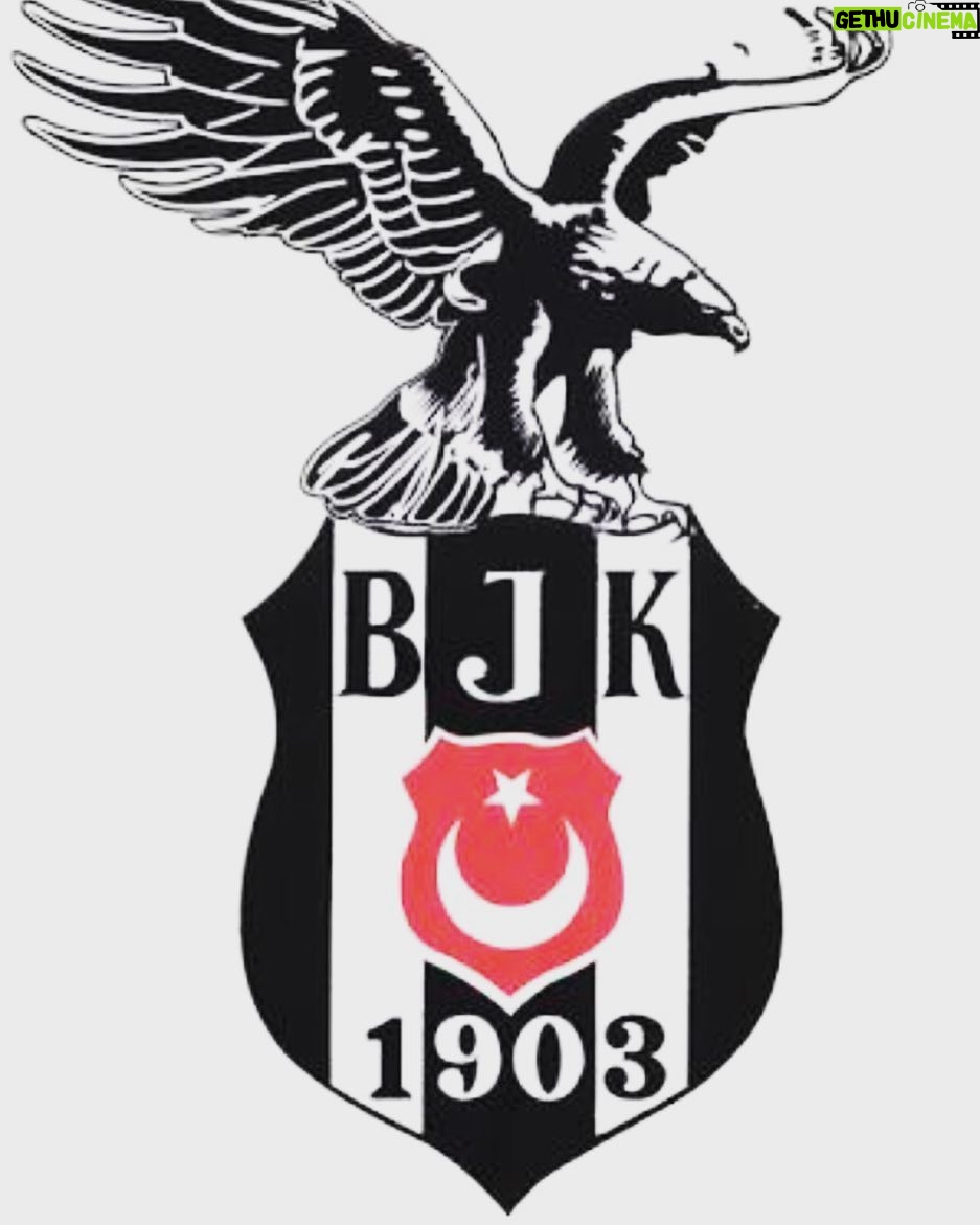 Ali Barkın - 1.1K Likes - #şampiyonbeşiktaş Teşekkürler #beşiktaşım