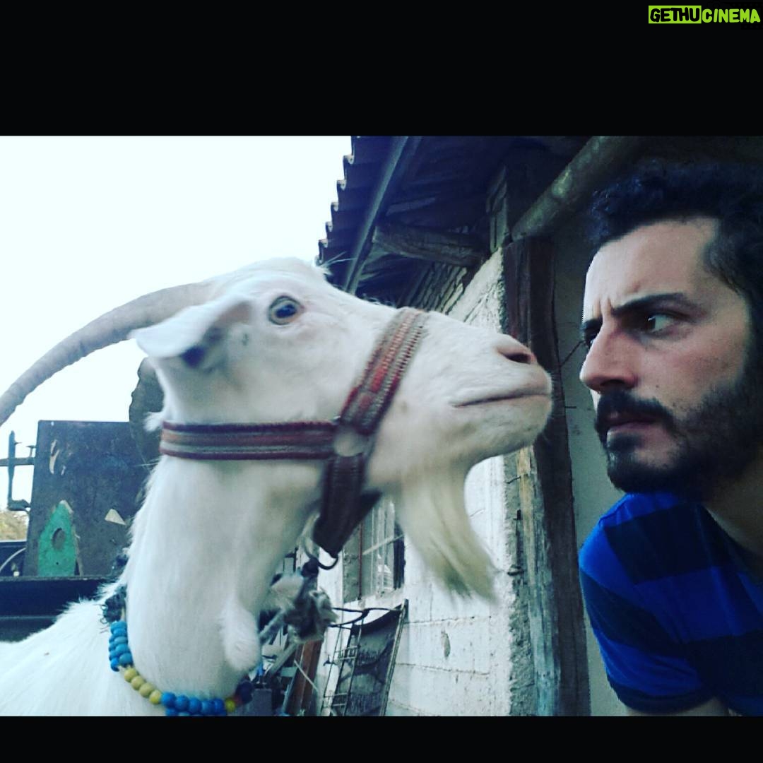 Ali Barkın - 1.2K Likes - prova biraz gergin geçti... #yeşildeniz
