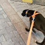 Ali Barkın Instagram – İstanbul’dan karışık anlar…