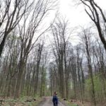 Ali Barkın Instagram – Köln Almanya Cologne, Germany