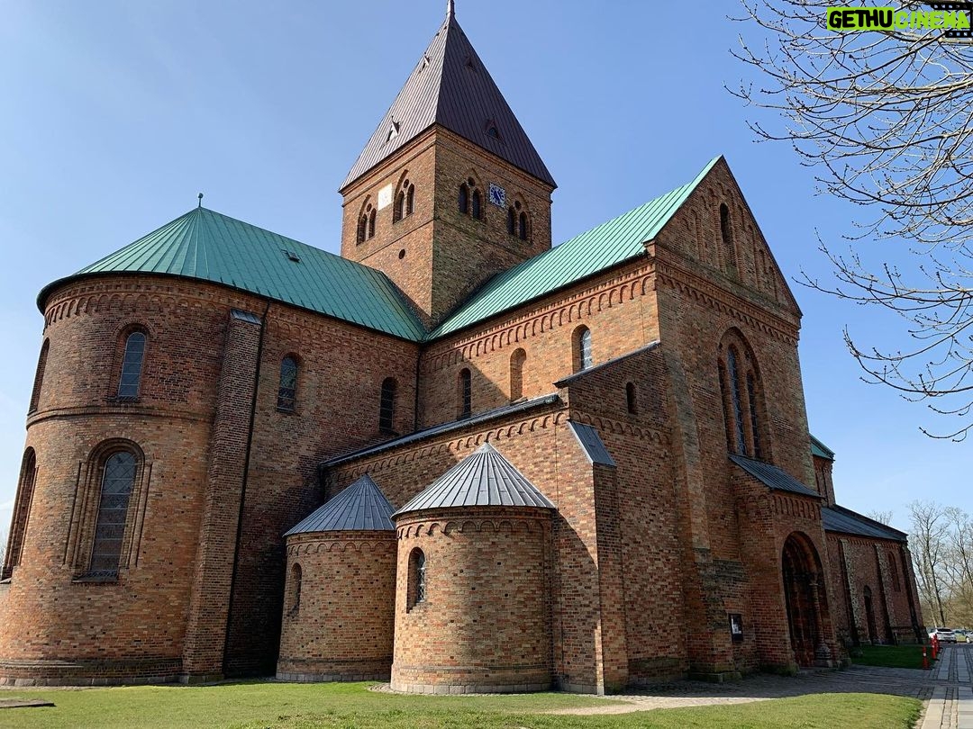 Ali Barkın - 0.9K Likes - Ringsted Danimarka 🇩🇰