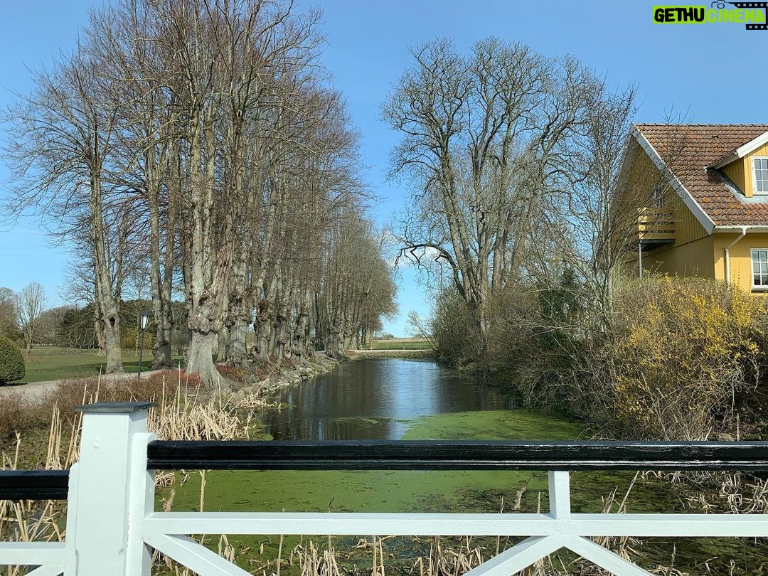 Ali Barkın - 0.9K Likes - Ringsted Danimarka 🇩🇰