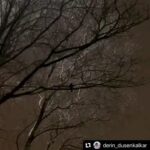 Ali Düşenkalkar Instagram - Oğlum @derin_dusenkalkar ‘ın gözünden. Glasgow.