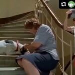 Ali Düşenkalkar Instagram - #Repost @tekindenizz with @make_repost ・・・ - Neriman Teyze, köpekler bizi içimizde kemik var diye mi ısırıyo? - Hayır, içimizde kalp yok diye ısırıyo! Reha Erdem / Korkuyorum Anne #IşılYücesoy & #OzanUygun