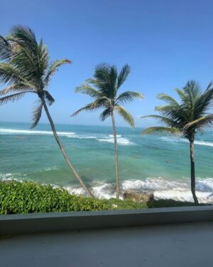 Alicia Garza Instagram - The break I needed…between running an organization, taking care of my dad who is dying of pancreatic cancer, trying to remain hopeful and clear and hold the big picture while navigating a world that is heartbreakingly cruel and unjust, life has been a lot. A lot of days feel like one foot in front of the other but I was committed to getting on that plane. I’m glad I did. Barbados, you owe me absolutely nothing. Thank you for letting me soak up your sun, cleanse in your waters, and thank you for reminding me that always everywhere all the time there is joy and the infinite possibilities for freedom. Thank you to my most gracious host for creating space for me to breathe. Even your mosquitos were mostly kind.