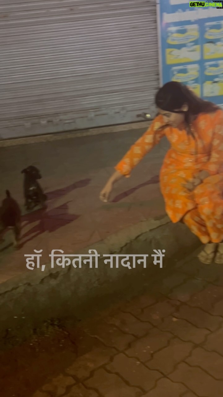 Alika Nair Instagram - Dekho Dekho ! 🐕🦺🦮🤎🩶 Mumbai, Maharashtra