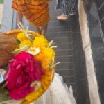 Alika Nair Instagram - Har Har Mahadev 🙏 …. Basant Panchami ki sabko shubh kamanaein 🙏 ! Happy Valentines Day 💕 Too 🙈🌹. #jyotirlinga_trimbakeshwar_mahadev ( Mandir me bhi class and categories …. Public toilet me 50 rs. Charge kar rahe hain…. ! Kya chal kya raha hain ? Pooja ki Yeh wali tokri le jao didi aapki pararthna avashya poori hogi 🥹 . Arey meri prarthna is tokri ???? Nahi matlab kaise kar lete hain log 💵 🤑💰 𝐓𝐑𝐈𝐌𝐁𝐀𝐊𝐄𝐒𝐇𝐖𝐀𝐑 𝐉𝐘𝐎𝐓𝐈𝐑𝐋𝐈𝐍𝐆