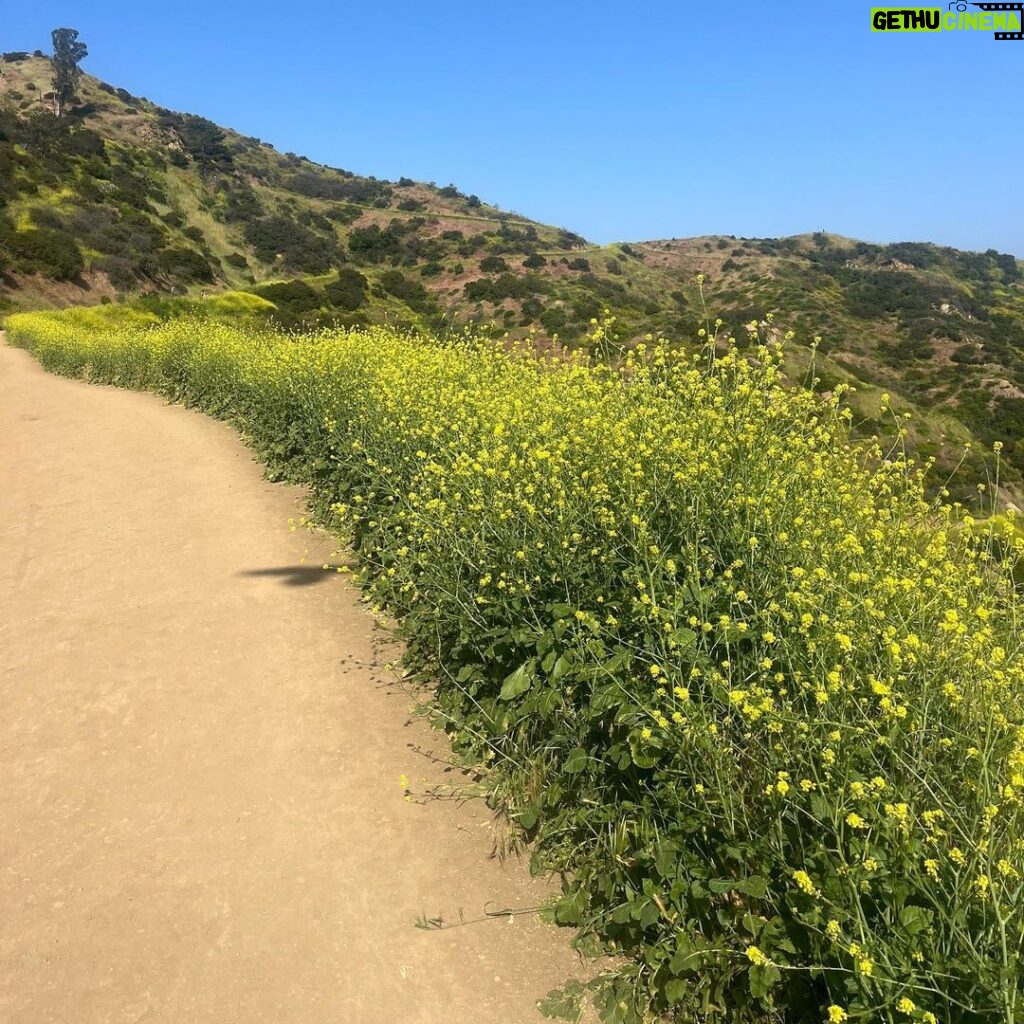 Alisha Boe Instagram - Los Angeles in the spring is nice @skyeeblu