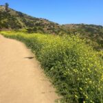 Alisha Boe Instagram - Los Angeles in the spring is nice @skyeeblu