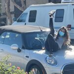 Alisha Boe Instagram - Missing la and grey sweatpants are HOT