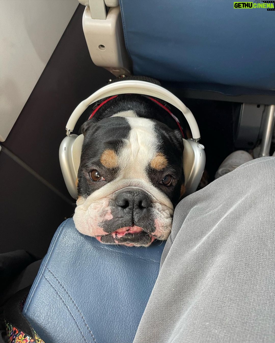 Alissa Violet Instagram - on behalf of me and london— merry christmas eve🤍🫶🏼 we’re snowed in but hoping for the next flight out, love you all haha the holidays are wild Minneapolis, Minnesota