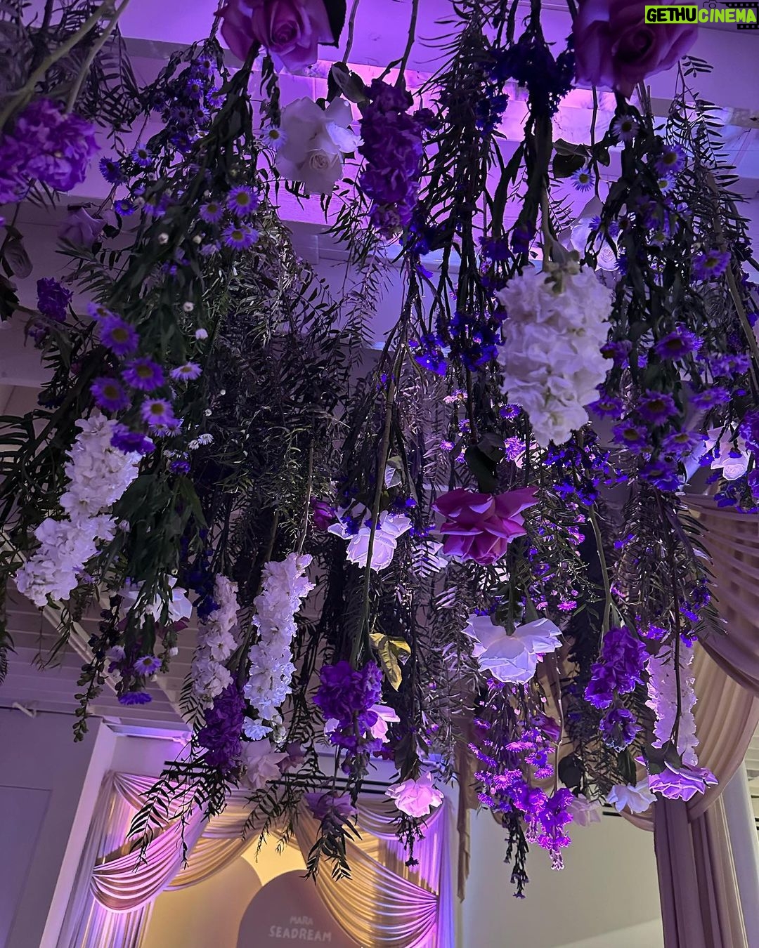 Alissa Violet Instagram - thanks for having me💜