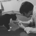 Allison Lin Instagram - 在首爾跟李瀧學韓文 （還是學喝馬格利？） 這是與她的貓的初次見面