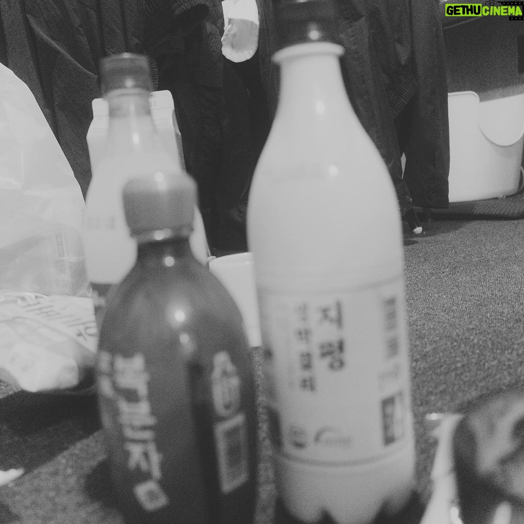 Allison Lin Instagram - 在首爾跟李瀧學韓文 (還是學喝馬格利?) 這是與她的貓的初次見面