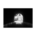 Allison Lin Instagram – 謝謝你們今天來One Art展覽搶先看我今年全新的攝影作品系列《Passage》（路徑），也謝謝今天收藏作品的藏家，希望今天的分享與交流有帶給各位新的生命靈感，接下來我就要來全力準備個展了～

個展日期是2/22，為期一個月，地點在大稻埕一個充滿古典氣息的酒吧「Antique Bar 1900」，將會展出更多同系列的攝影作品。更多詳情可以請洽這次負責照顧我的藝廊 @veart.fr 。

期待屆時見到各位！

#passage
#passageexhibition 
#路徑
#路徑攝影展